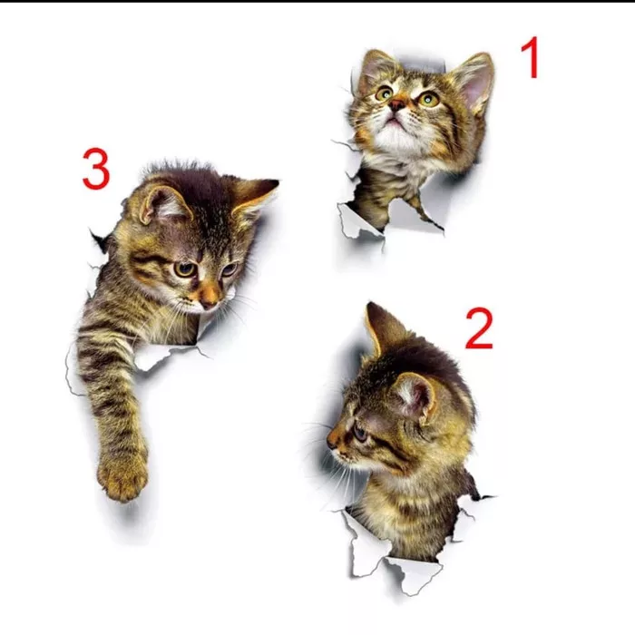Detail Wallpaper Dinding Kucing Nomer 38
