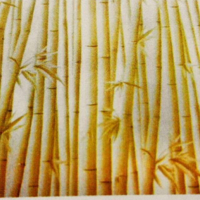 Detail Wallpaper Dinding Motif Bambu Kuning Nomer 24