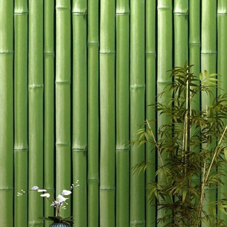Detail Wallpaper Dinding Motif Bambu Kuning Nomer 10