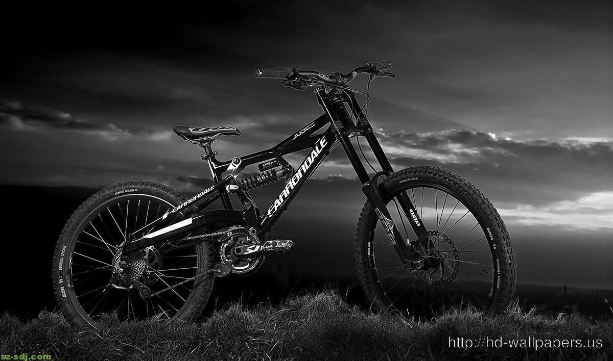 Detail Wallpaper Downhill Nomer 53