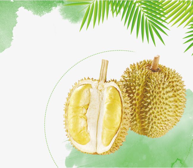 Detail Wallpaper Durian Nomer 15