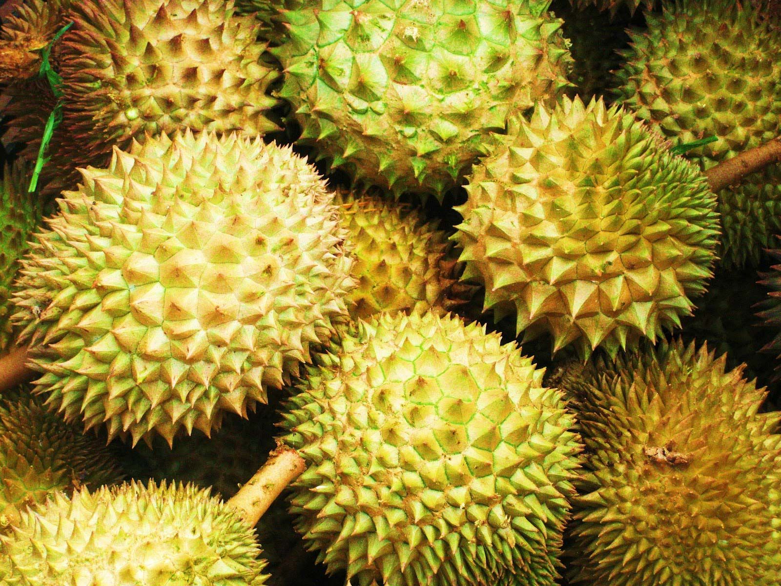 Detail Wallpaper Durian Nomer 18