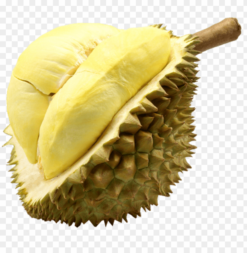 Detail Wallpaper Durian Nomer 23