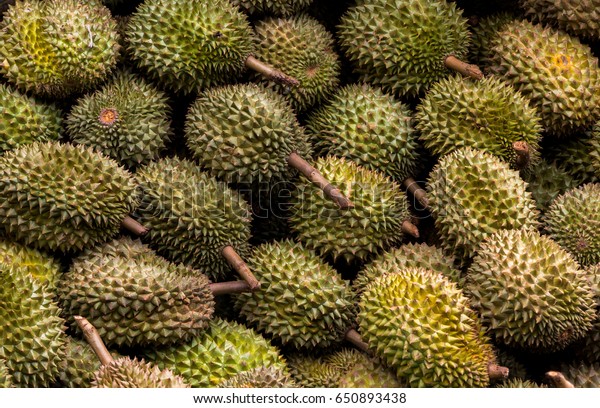 Detail Wallpaper Durian Nomer 35