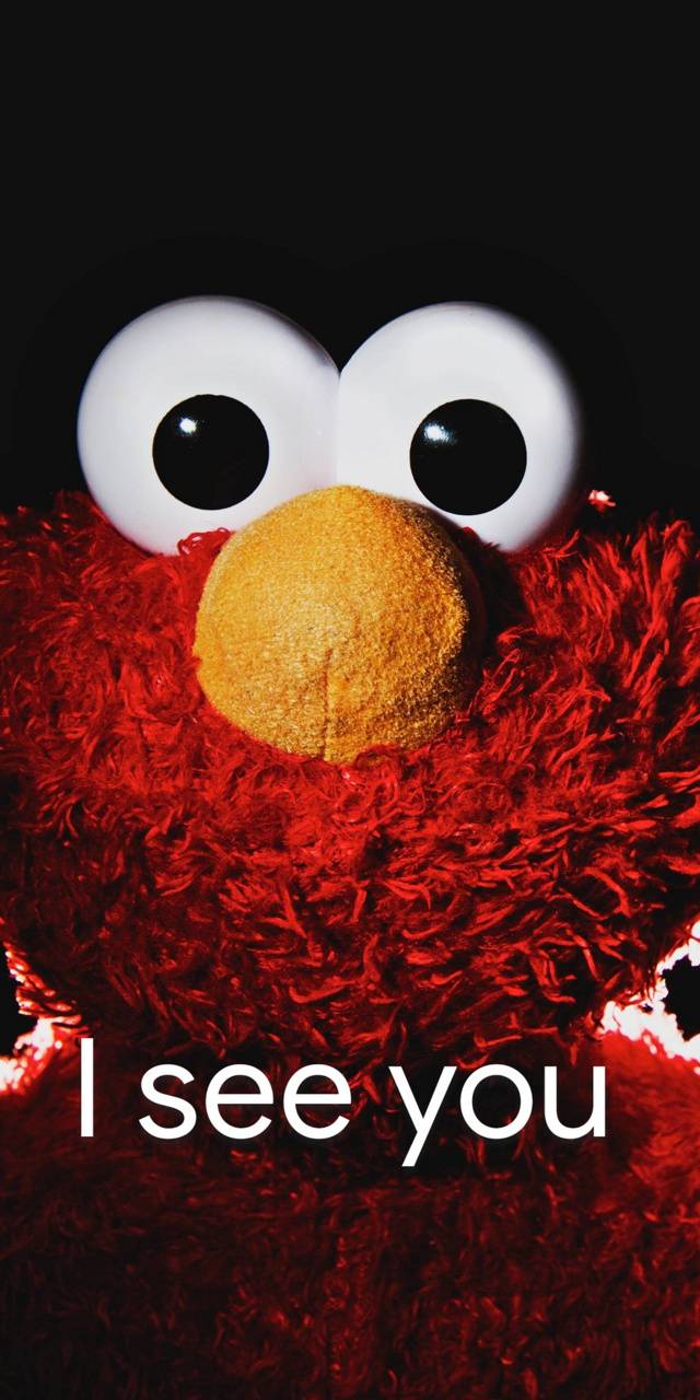 Detail Wallpaper Elmo Lucu Nomer 13