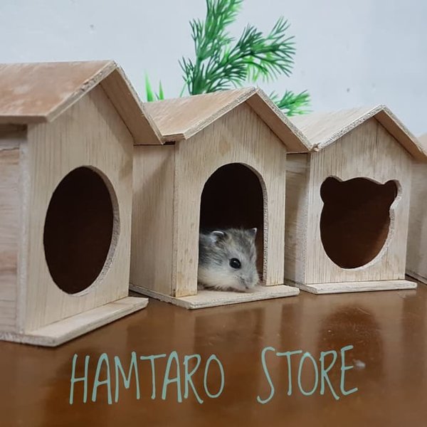 Detail Rumah Rumahan Hamster Nomer 19