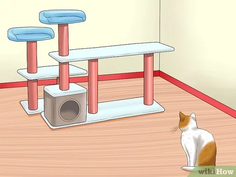 Detail Rumah Rumahan Kucing Nomer 36