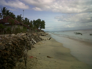 Detail Rumah Rumput Laut Nomer 20