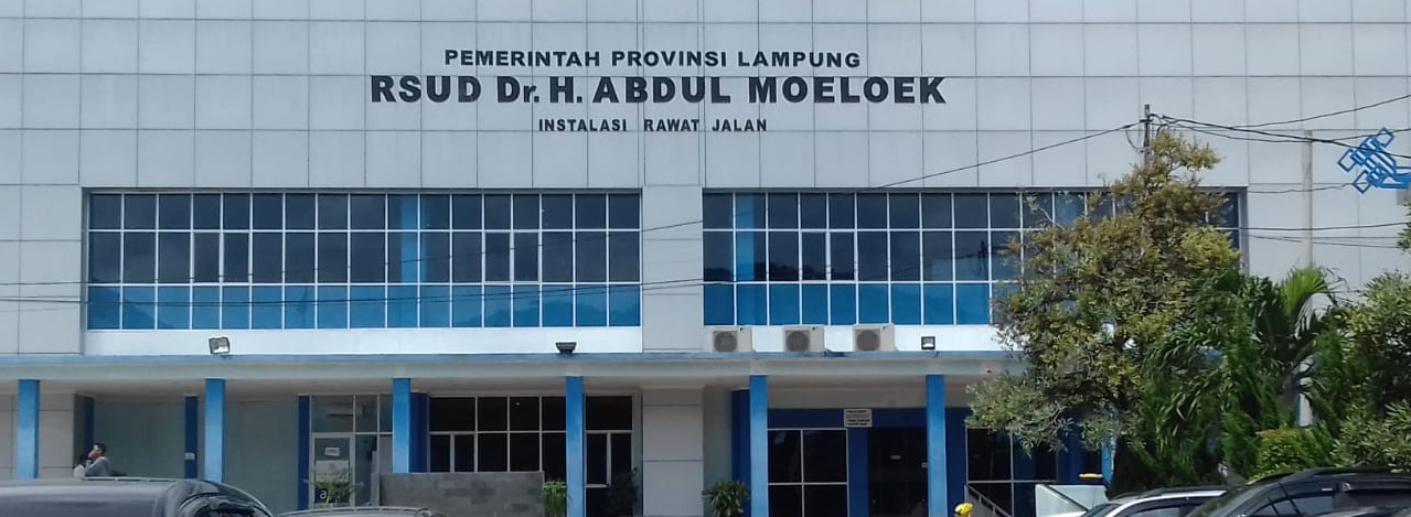 Detail Rumah Sakit Abdul Muluk Bandar Lampung Nomer 12
