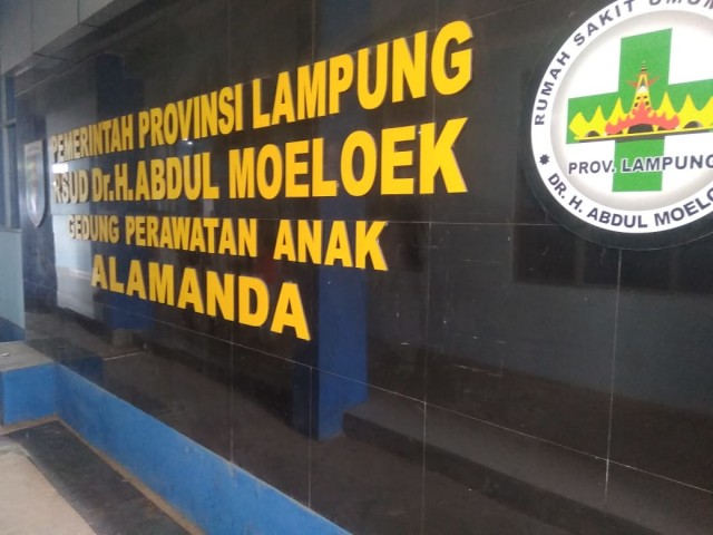 Detail Rumah Sakit Abdul Muluk Bandar Lampung Nomer 17