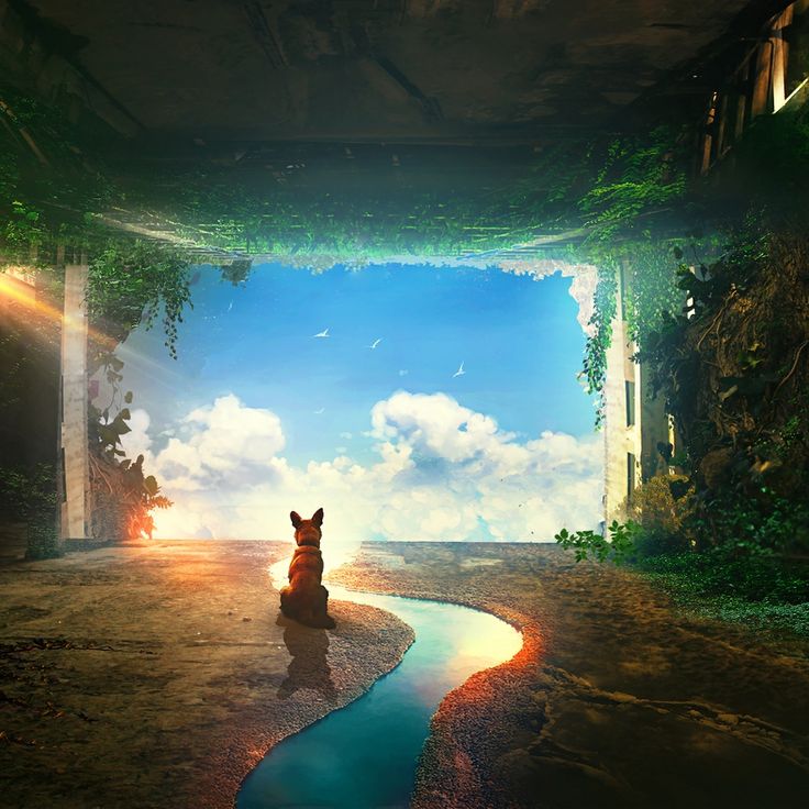 Detail Wallpaper Engine Workshop Nomer 36