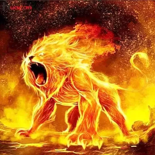Wallpaper Fire Lion - KibrisPDR