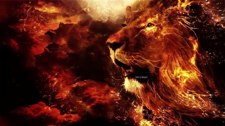 Detail Wallpaper Fire Lion Nomer 16