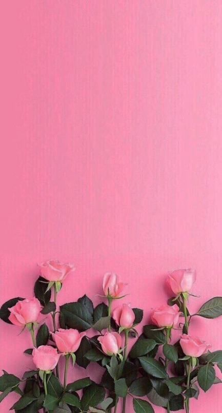 Detail Wallpaper Flower Pink Nomer 11