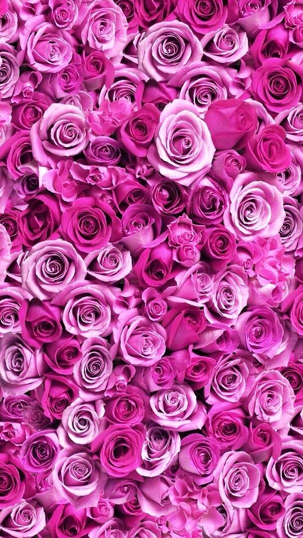 Detail Wallpaper Flower Pink Nomer 20