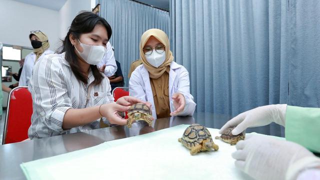 Detail Rumah Sakit Di Banyuwangi Nomer 22