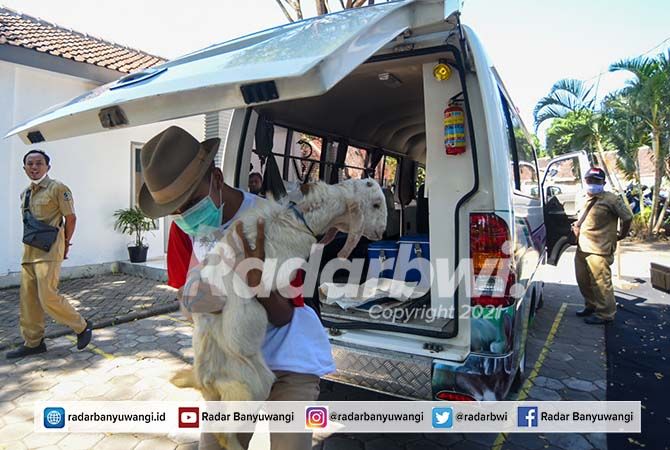 Detail Rumah Sakit Di Banyuwangi Nomer 50