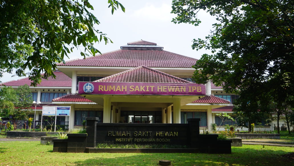 Rumah Sakit Hewan Ipb - KibrisPDR