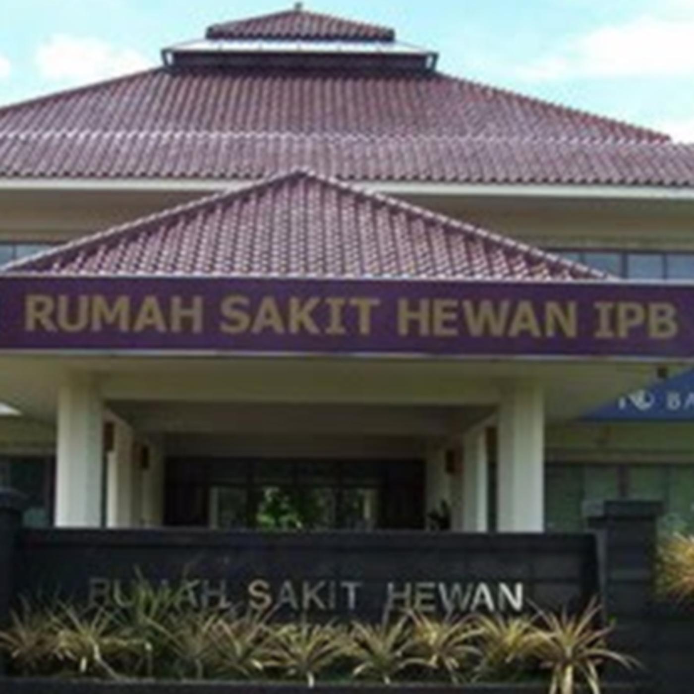 Detail Rumah Sakit Hewan Ipb Nomer 14