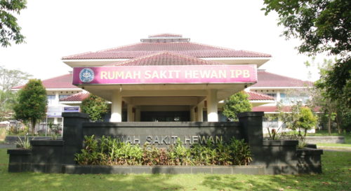 Detail Rumah Sakit Hewan Ipb Nomer 4