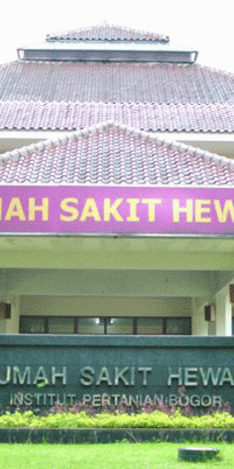 Detail Rumah Sakit Hewan Ipb Nomer 8