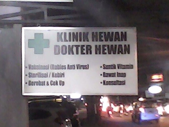 Detail Rumah Sakit Hewan Jakarta Nomer 35