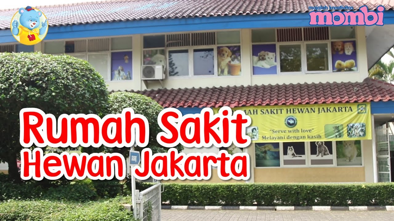 Detail Rumah Sakit Hewan Jakarta Nomer 5