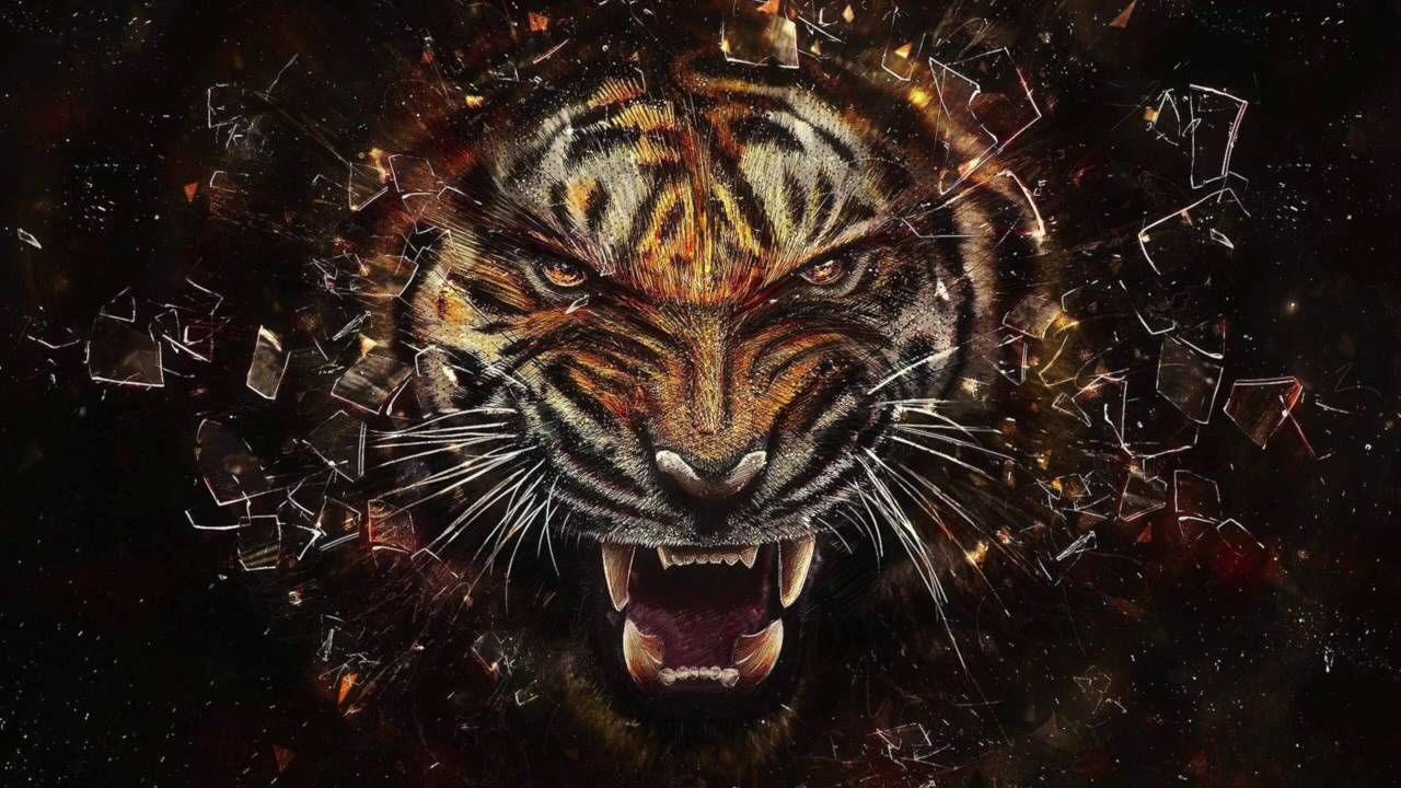 Detail Wallpaper Gambar Harimau Nomer 8