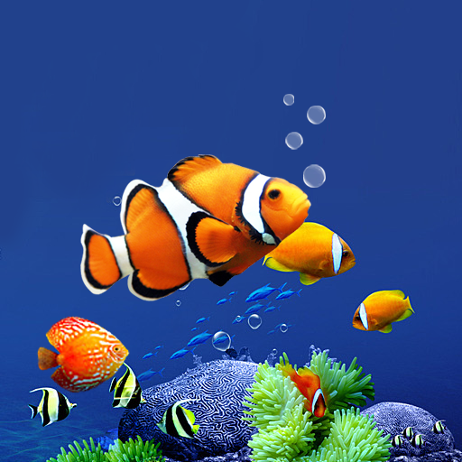 Detail Wallpaper Gambar Ikan Nomer 41