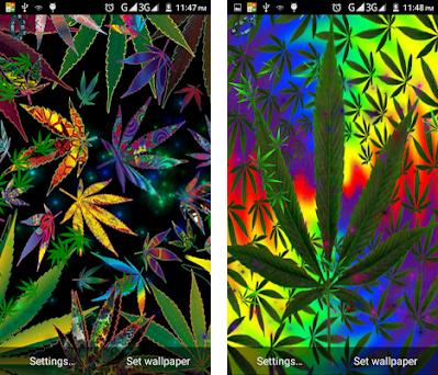 Detail Wallpaper Ganja Bergerak Nomer 40