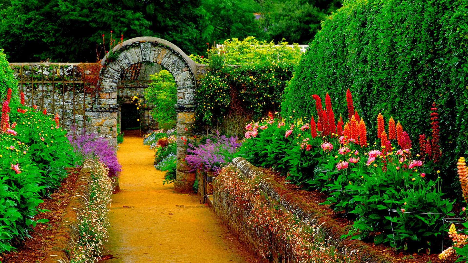 Detail Wallpaper Garden Hd Nomer 15