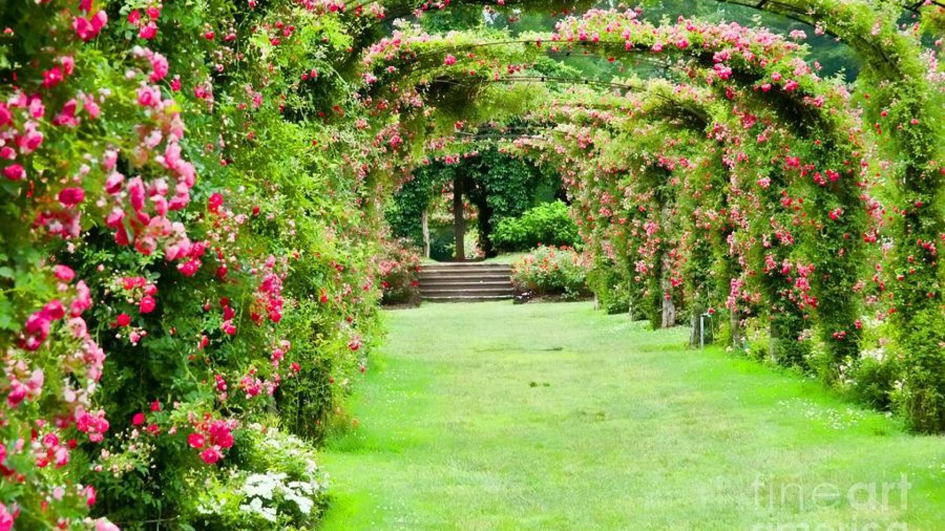 Download Wallpaper Garden Hd Nomer 42