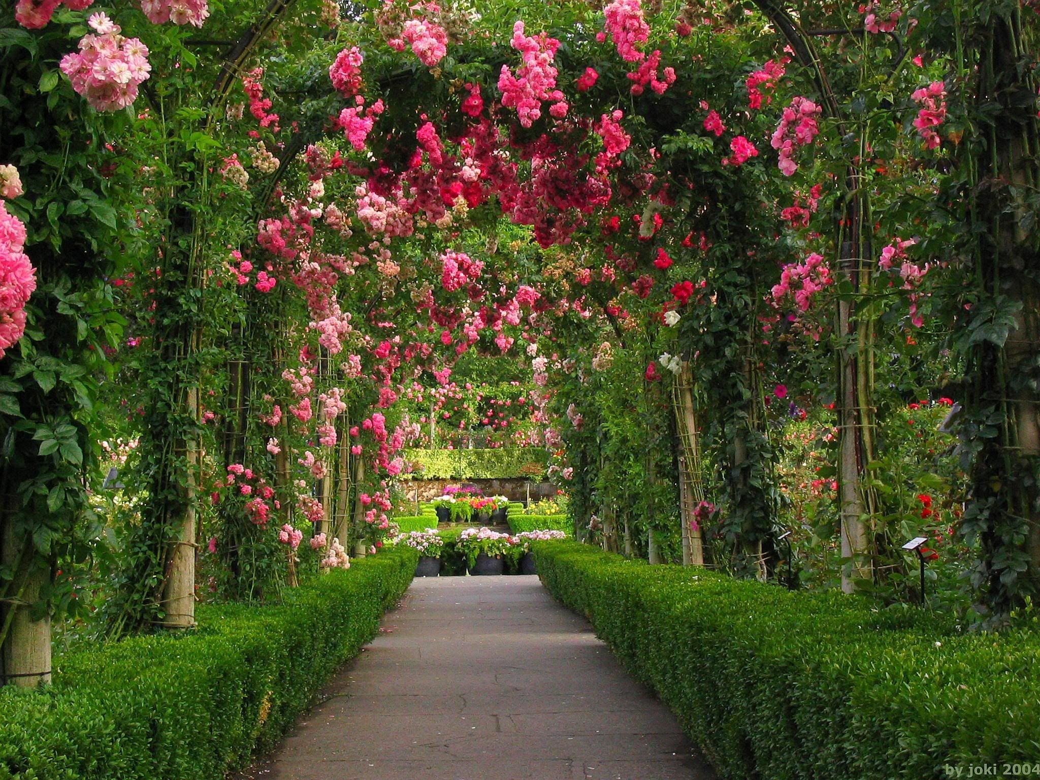 Detail Wallpaper Garden Hd Nomer 9