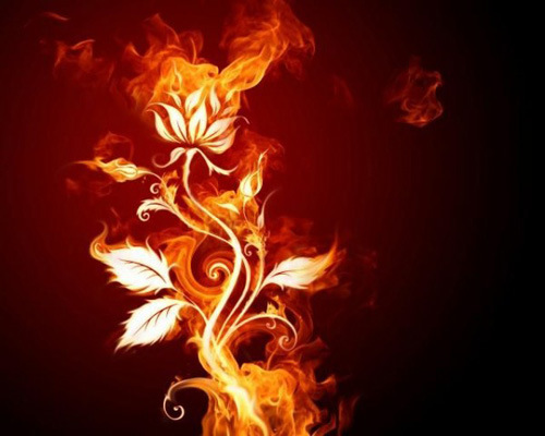 Detail Wallpaper Garuda Api Nomer 11