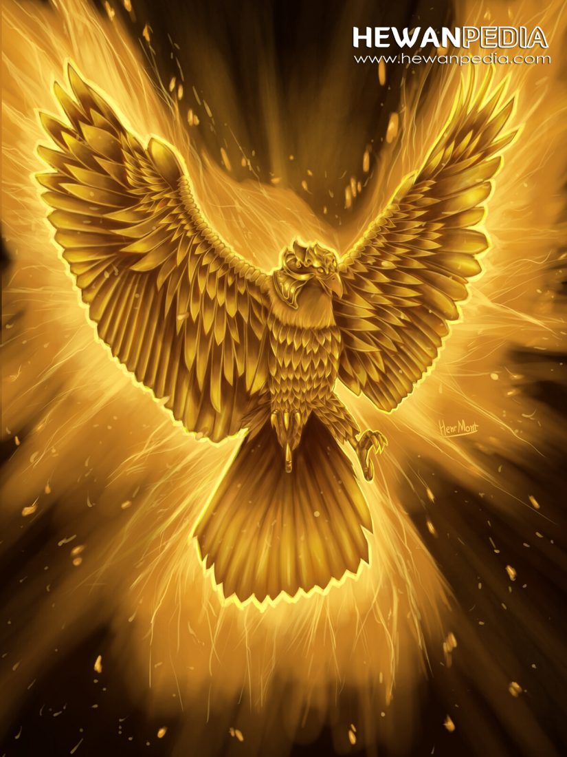 Detail Wallpaper Garuda Api Nomer 16