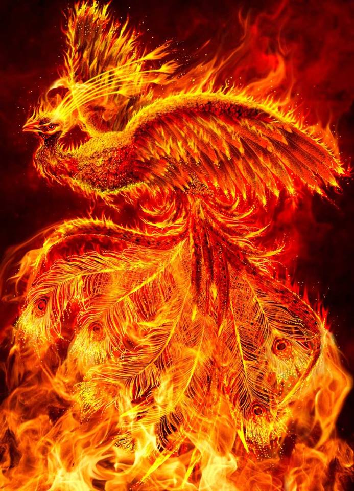 Detail Wallpaper Garuda Api Nomer 18