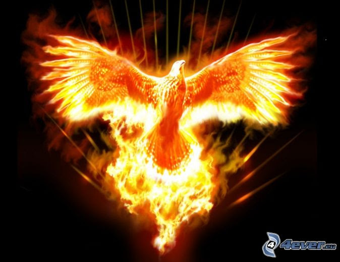 Detail Wallpaper Garuda Api Nomer 47