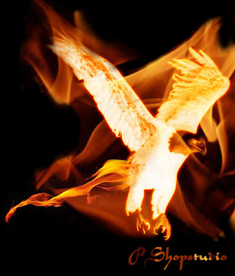 Detail Wallpaper Garuda Api Nomer 50
