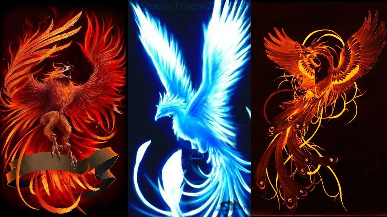 Detail Wallpaper Garuda Api Nomer 7