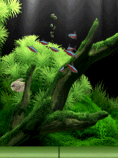 Detail Wallpaper Gerak Android Nomer 4