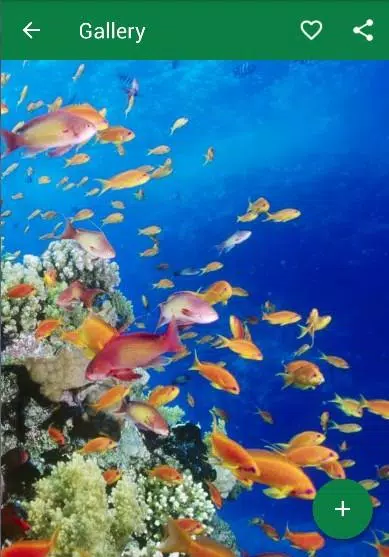 Detail Wallpaper Gerak Ikan Nomer 50