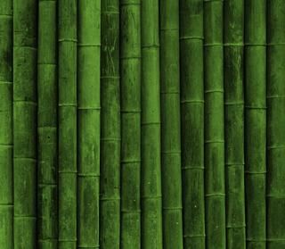 Detail Wallpaper Go Green Nomer 37