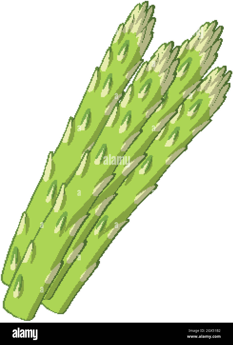 Detail Asparagus Drawing Nomer 7