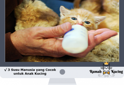 Detail Dot Kucing Di Alfamart Nomer 13