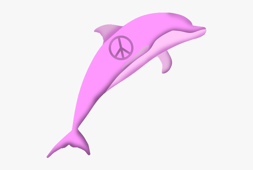 Detail Dowload Dolphin Nomer 31