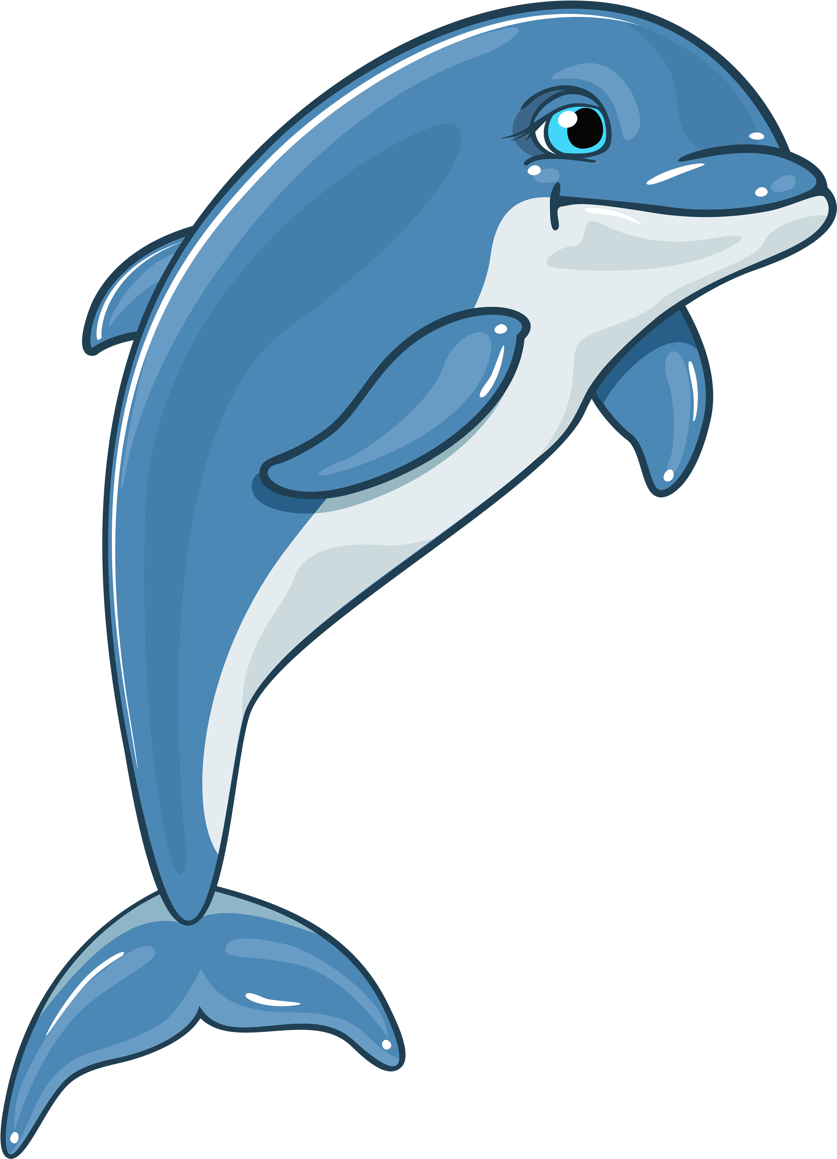 Detail Dowload Dolphin Nomer 43