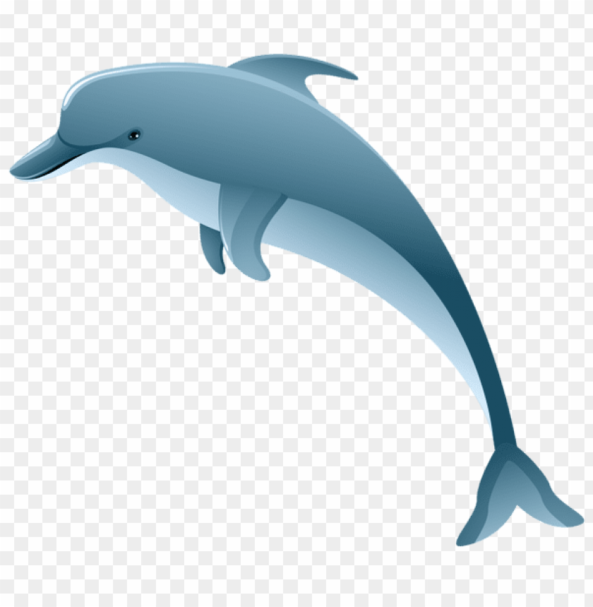 Detail Dowload Dolphin Nomer 48