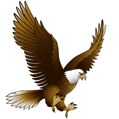 Detail Dowload Eagle Nomer 12