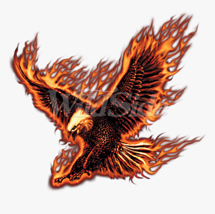 Detail Dowload Eagle Nomer 18