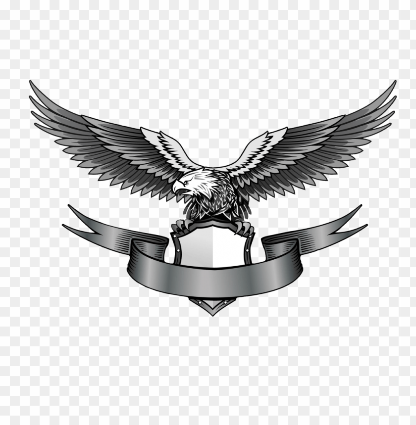 Detail Dowload Eagle Nomer 35